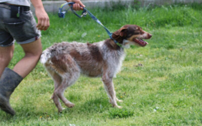 Marla – zutraulich u. unkompliziert